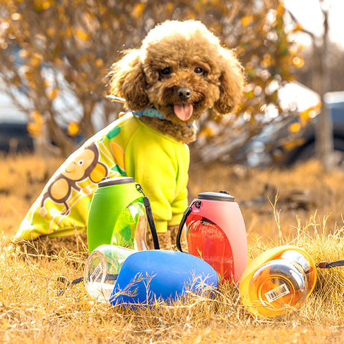 Hunde-Wasserflasche, Trinknapf, tragbar für kleine und große Hunde, Wasserspender, Begleiter-Becher, Katzennapf, Haustierprodukte