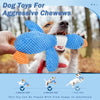 Squeaky Dog Toy for Tough Chewers