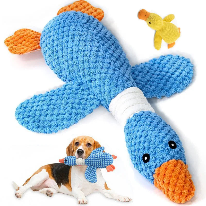 Squeaky Dog Toy for Tough Chewers