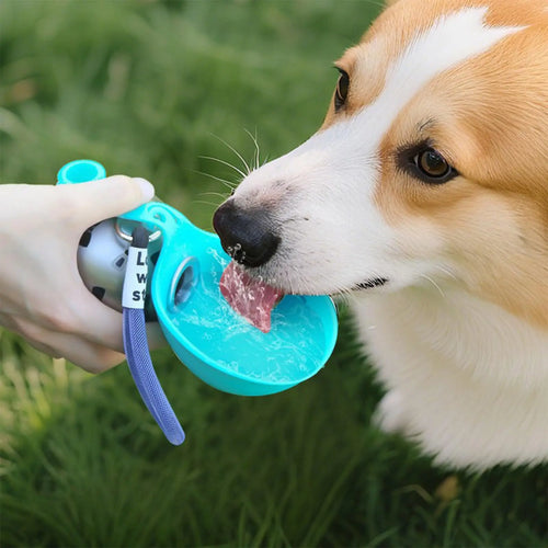 HydroPaws™ Water Bottle 🐶💧 — Drink & Bowl in One