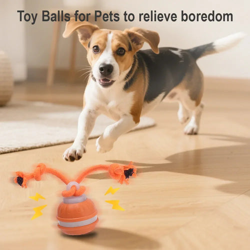 RolliPlay™ Intelligenter Haustierball 🐾⚡ Endloser Jagdspaß