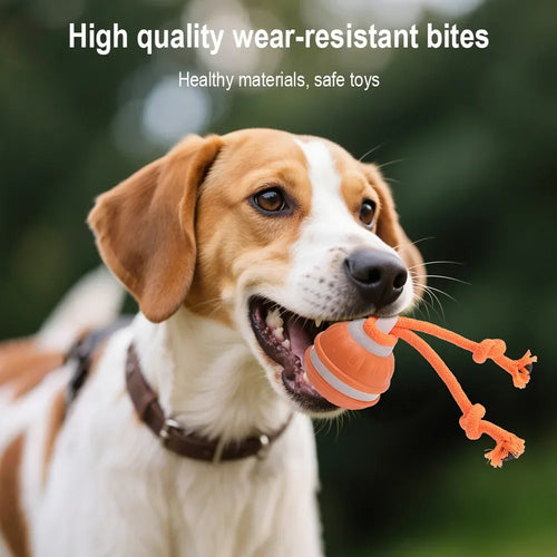 RolliPlay™ Intelligenter Haustierball 🐾⚡ Endloser Jagdspaß